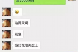 黑河专业催债公司的市场需求和前景分析